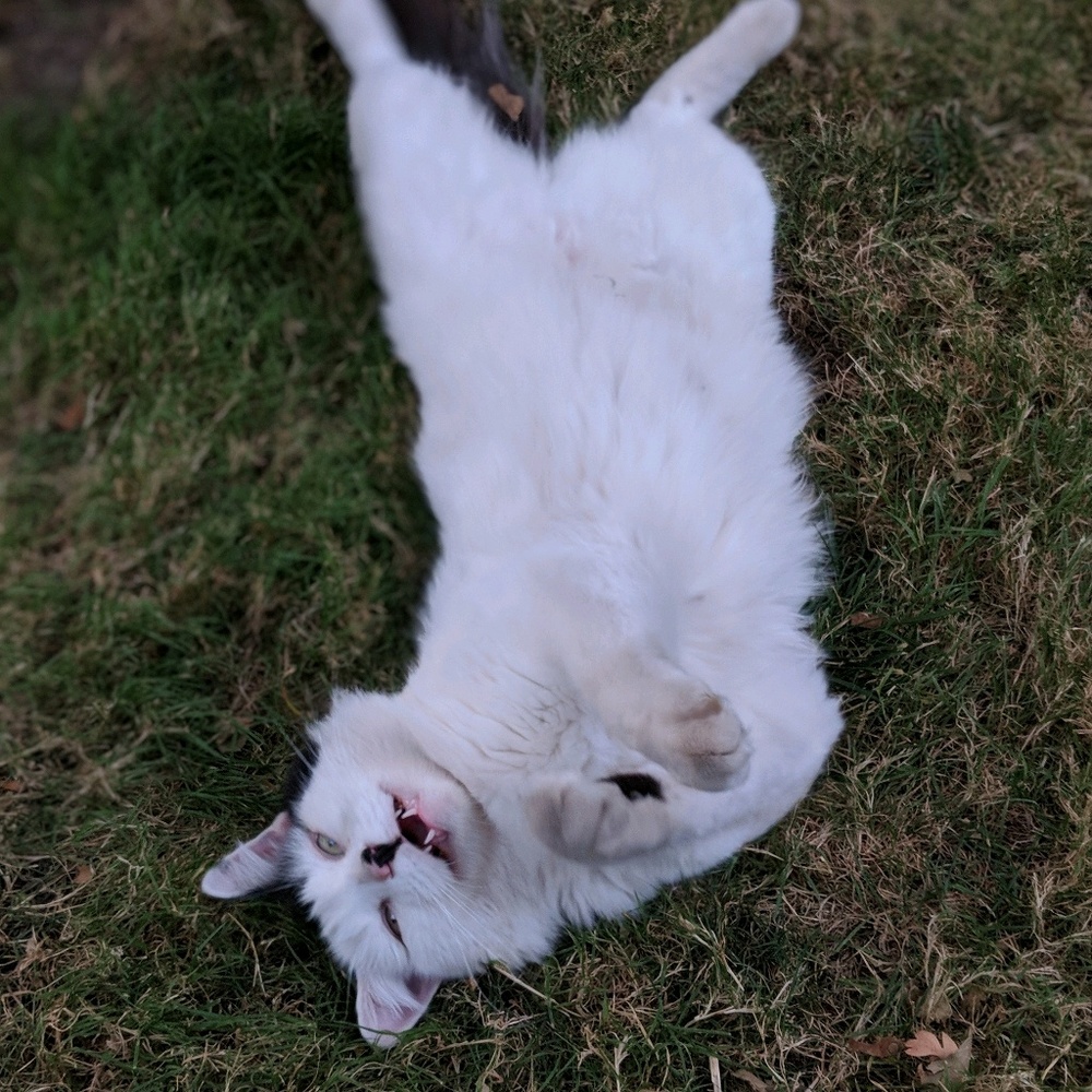 Meet your Posher, Stefanie